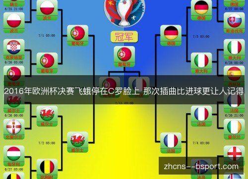 2016年欧洲杯决赛飞蛾停在C罗脸上 那次插曲比进球更让人记得 2016年欧洲杯决赛飞蛾停在C罗脸上 那次插曲比进球更让人记得